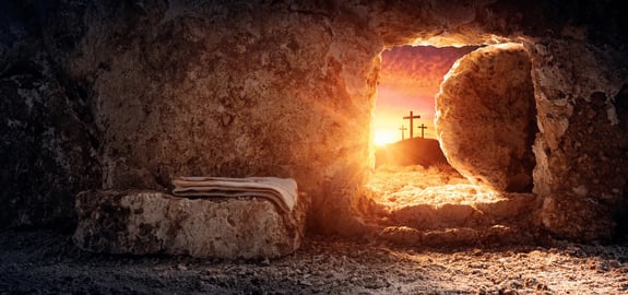 Our Bodies and the Future Resurrection
